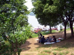 Picnic area in Ma'an Park