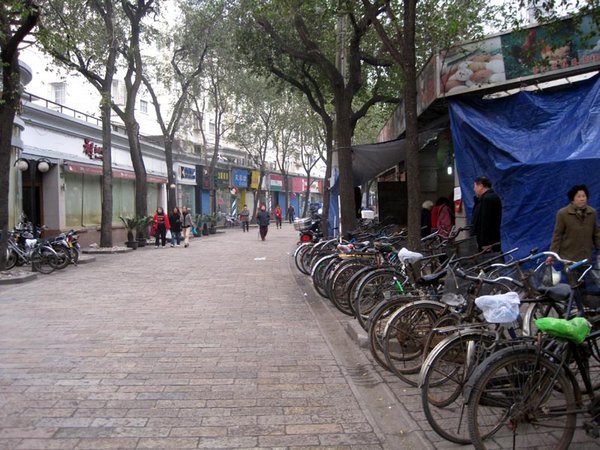 Bicycles and more bicycles (Shanghai)