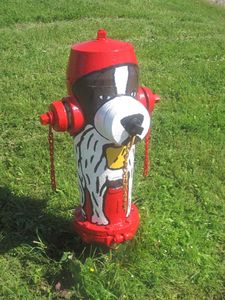 New Carlisle fire hydrant!