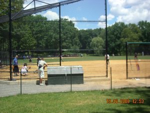 Central Park- baseball pitches