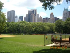 Central Park- baseball pitches