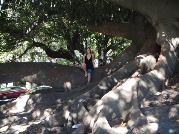Me under the ombu tree