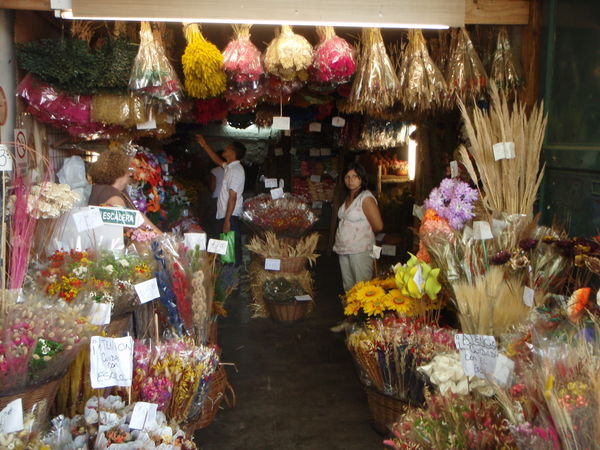 A dried flower shop