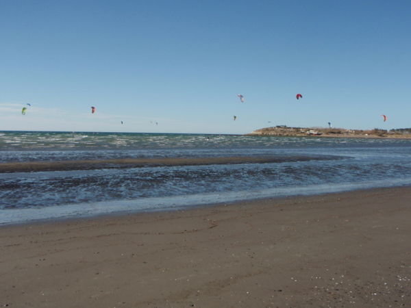 Many, many Kite boarders