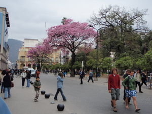 Downtown Salta