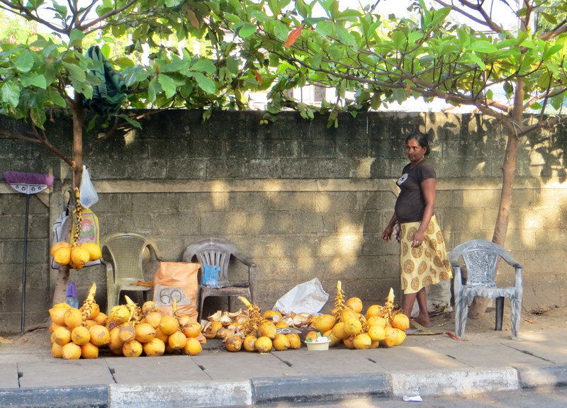 Selling coconuts on the footpath near our hotel.