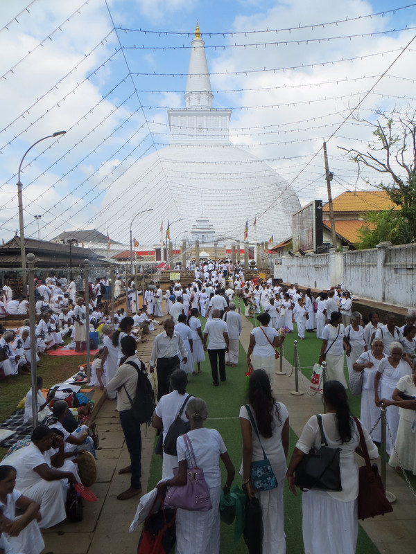White clad devotees heading into Ruvanvelisaya Dagoba for the evening festival