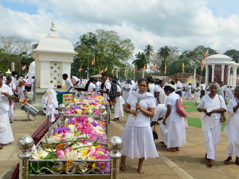 Offering flowers at Ruvanvelisaya Dagoba 
