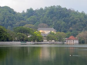 Looking across Kandy lake to the golden roof above the Temple of the Sacred Tooth Relic 