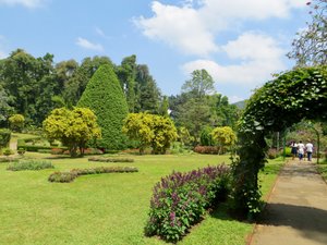 The Botanic Gardens 