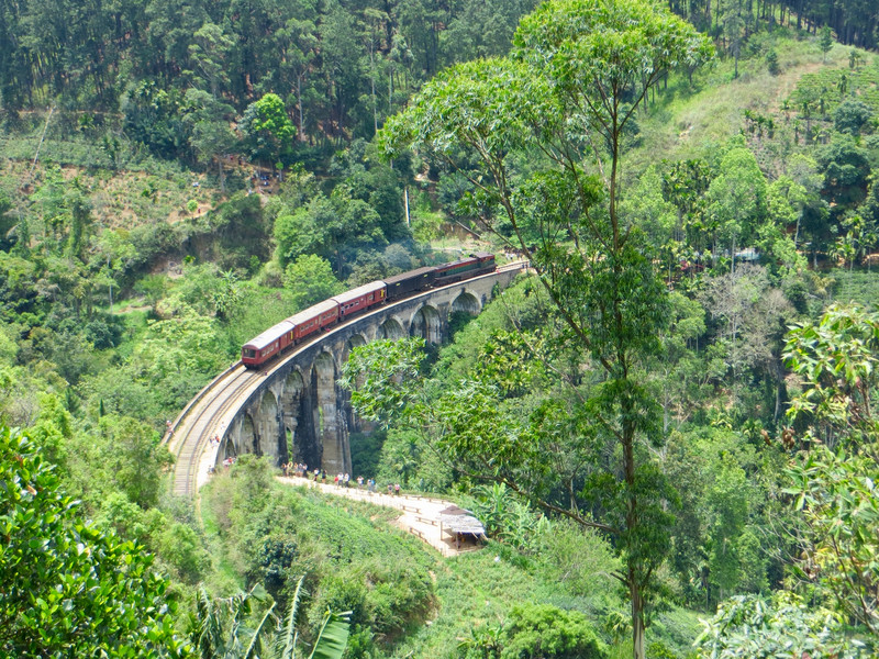 The train crossing Nine Arch Bridge