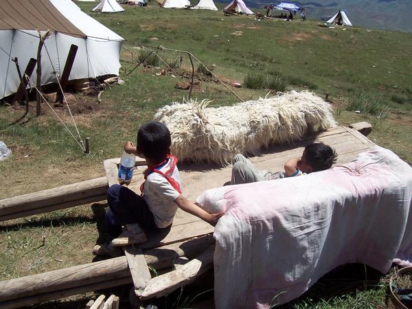 Children at the nomad camp