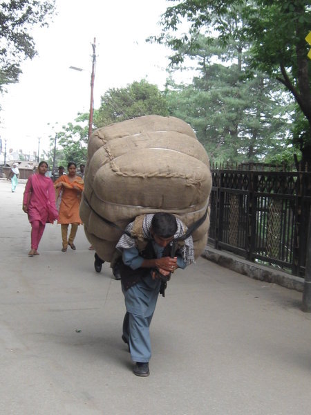 One of the many overloaded men who walk up and down hilly streets of Shimla