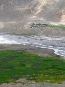 Pockets of green fields along the Spiti River viewed from the drive to Gete