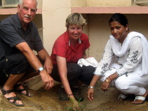 Planting a tree in Bikaner