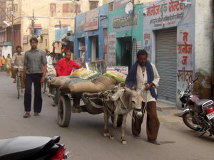 Typical street scene in Bikaner