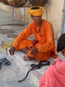 Young pilgrim earning money with a snake charmer act