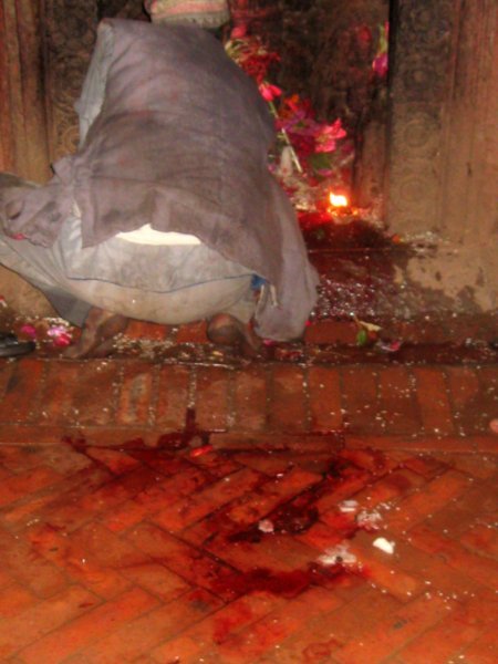 Old man preparing the shrine after sacrifice