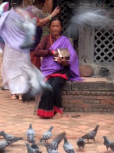 Feeding the Holy pigeons