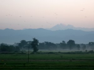 Sunset over rice paddies in Lumbini