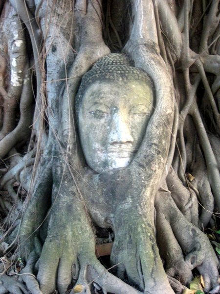 Buddha statue at Wat Maha That