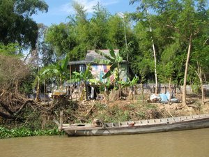 Houses along the Mekong River