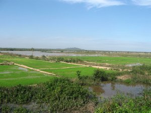 Typical Cambodian countryside