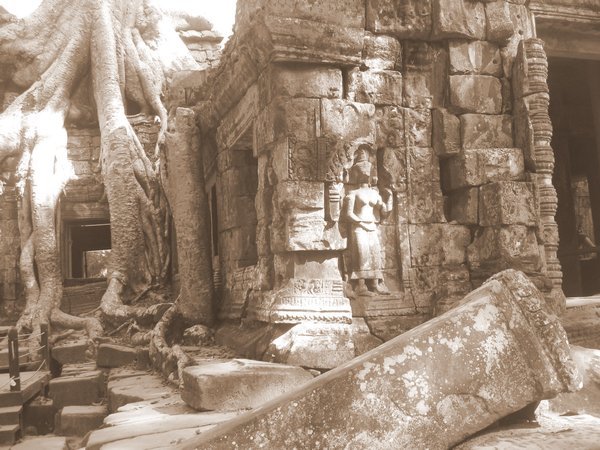 Another image from Ta Prohm