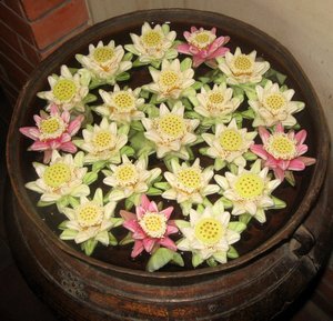 A bowl of lotus blooms