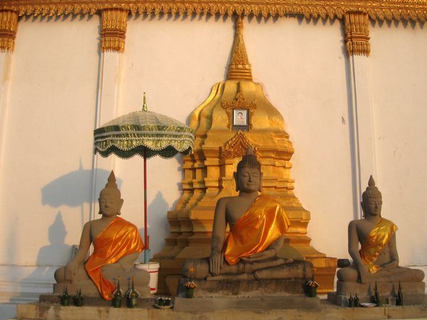 Afternoon Buddhas