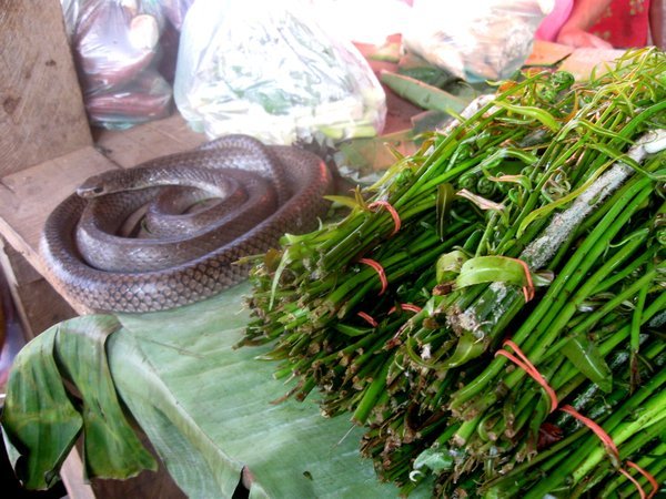 Snake (dead though we first thought it was alive) and jungle greens for sale