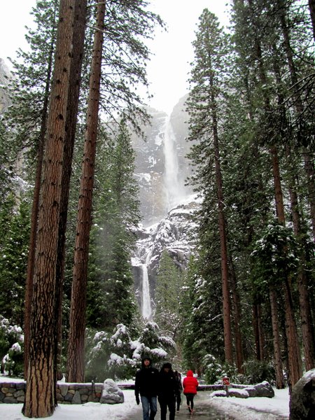 View of Yosemite Falls