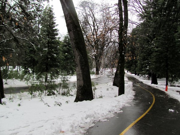 Snowy roads through the park