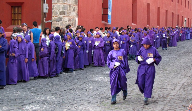 Lines of purple clad participants in the procession