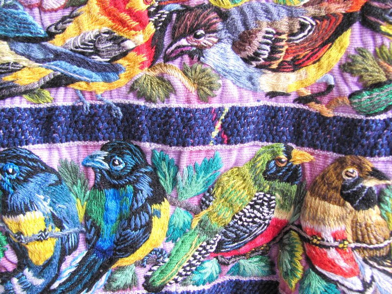 Close up of embroidered blouse