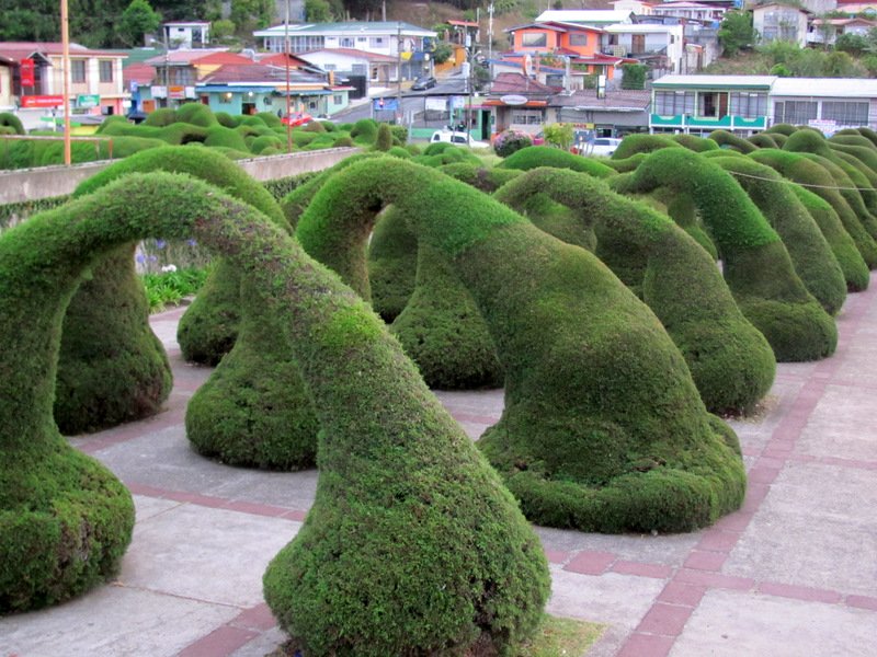 Hedges in central parque, Zarcero