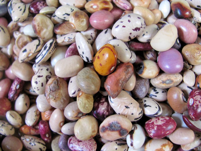 Beans for sale in the market