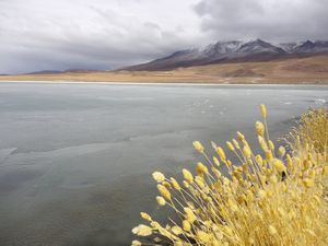 Salar de Uyuni - Atacama 162