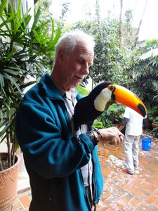 Jerry making friends with the toucan at the youth hostel