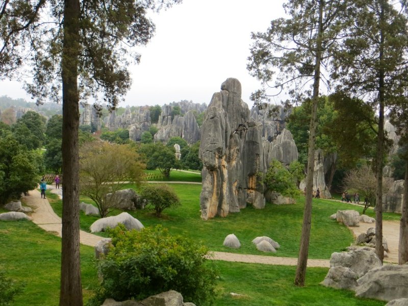 The entrance garden at the Stone Forrest