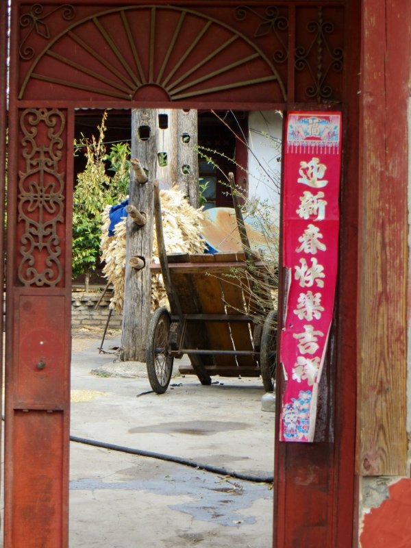 Through the gate in Baisha