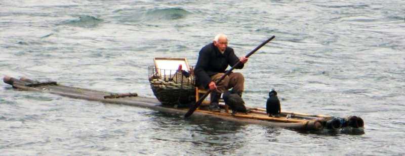 Fisherman with cormorant and bamboo boat