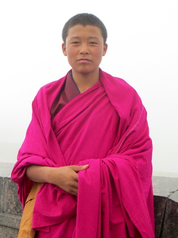 Young monk 