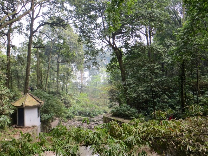 Typical scenery in the forrest around Baoguo