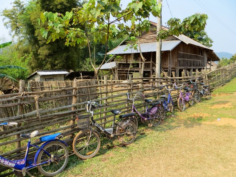 Bicycles along the school fence