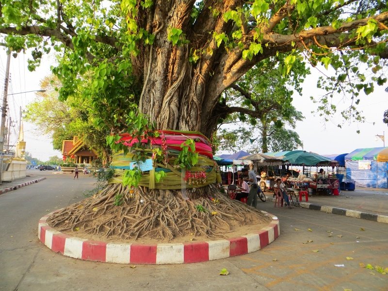 A tree hung with religious offerings outside a Wat on the banks of the Mekong River in Mukdahan