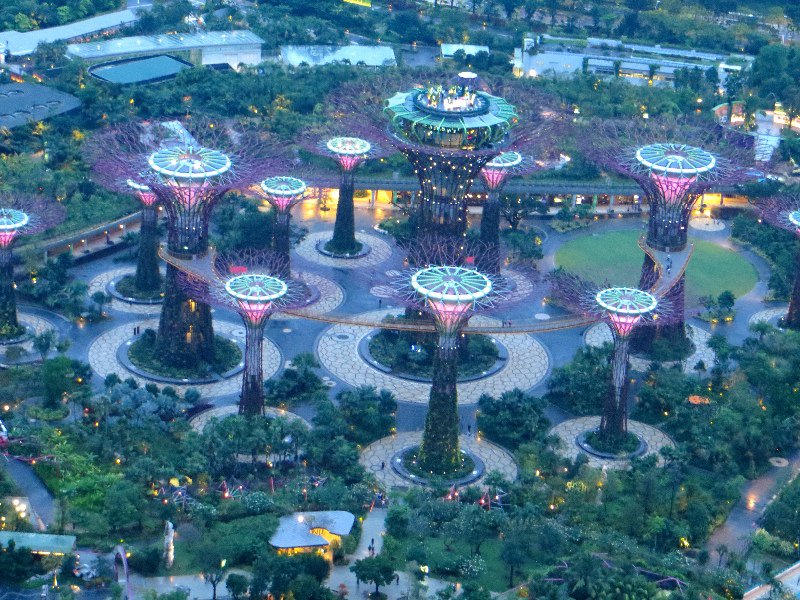 The amazing super trees (at dusk) in Gardens by the Bay