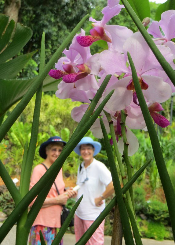 Mum and Suzie through the orchids...