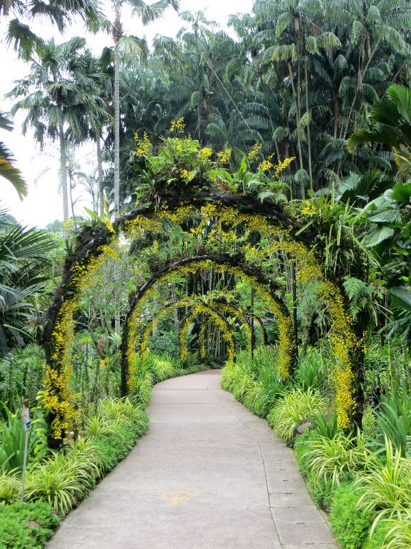 Covered walkway at the Botanic Garden
