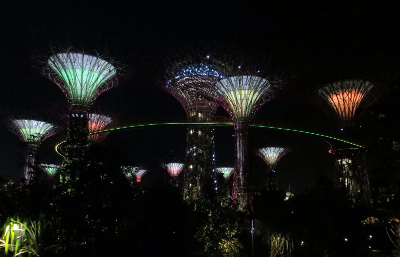 Glowing super trees in Gardens by the Bay